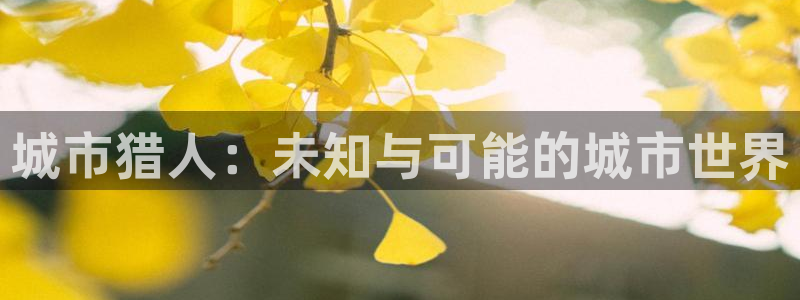 《共享弟夫》贝勒漫画：城市猎人：未知与可能的城市世界