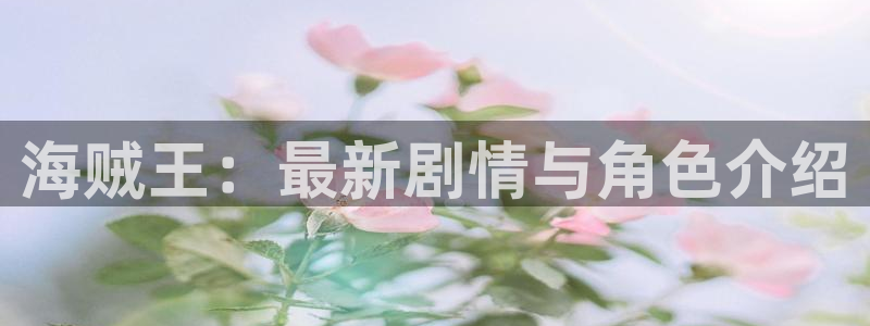 贝勒漫画个人中心：海贼王：最新剧情与角色介绍