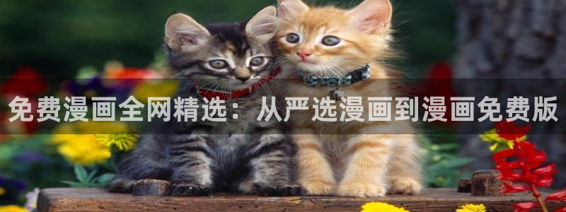 贝勒漫画下载：免费漫画全网精选：从严选漫画到漫画免费版